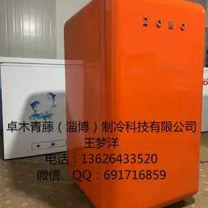 ZOMO恒温仿真酒窖 恒温酒柜 雪茄柜 MINI热泵式酒窖