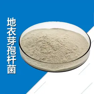 地衣芽孢杆菌 饲料益生菌200亿 1000亿 粉末全水溶型