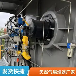 岱鼎 补热燃气烧嘴天然气燃气烧嘴燃烧机源头厂家