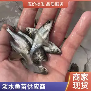 ���������� ̨�崿������ �ӽ������� �������