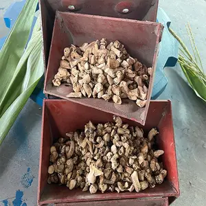 ʢ����ֱ���ϻ��̸��϶���Ѱ�װ���ԵĶ�ʽ������ɳ�����ϻ�������������