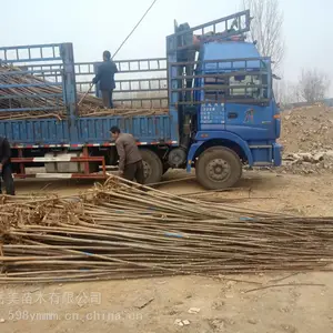 �����㴻����Ķ�� ������ľ��Ӧ��ժ��1����2�����㴻��
