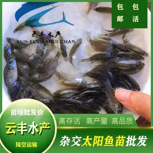 �����泡�޷����� ��ˮ̫������ �������۸�