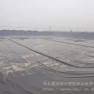 ��������Ĥ �������·���Ĥ ˮ����ֳĤ����������Ĥ