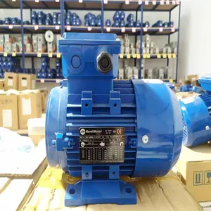 �����marellimotori A6Cϵ�е�� ���ֹ��ܿ�ѡ �����������