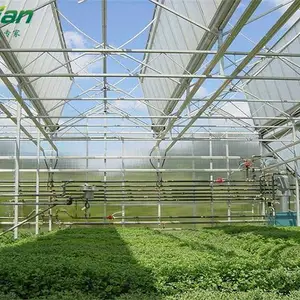 冬季温室大棚怎样提高蔬菜的产量和品质