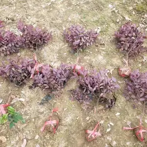 ���仨�컨��ľ ����Ƽ��¥��С���̻��õĲ�ɫ��ľ***�� ����Ǯ