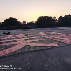 ������¥������������������ͬ���Ż�