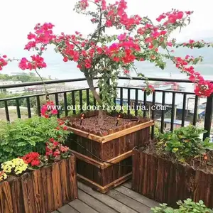 �������ջ��䣬С��ľ�Ƶ�����¥����ϻ��䣬��ľ����