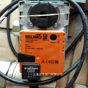 BELIMO����ıLR230A/DN25��ͭ˿�ڵ綯��ͨ��