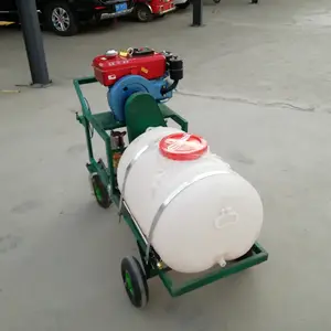 ���Ϳ����ܽ��ش�ҩ�� ��ͥ�˵��Ͳ˴�ҩ�� ·����ľ������