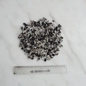 供应朋达牌无农残白背毛木耳丁1*1cm食品加工水煮调味用