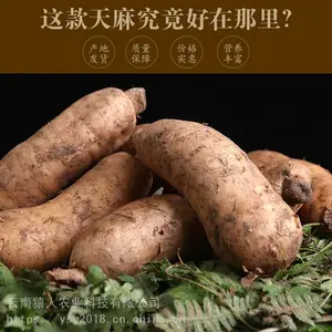 高原食材 天麻泡沫箱1.5公斤 净重2斤 酒店 餐馆 家庭 一件代发