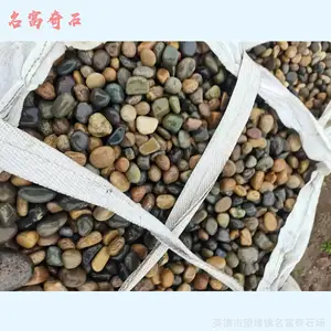 �麣����ʯ��԰����ɫ����ʯͼƬ���̵�Сʯͷ��ԭ����