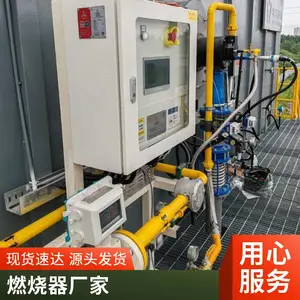 低热值燃料焦炉煤气高炉煤气燃烧器 烧嘴 岱鼎燃烧
