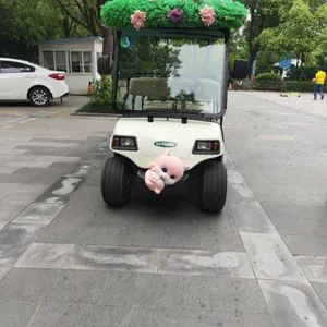 南京绿通四轮新能源电动观光车