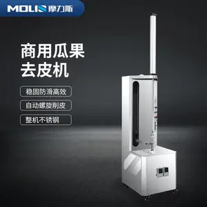 大型不锈钢冬瓜削皮机 南瓜自动刨皮机 立式去冬瓜皮机器