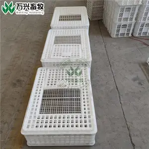 ��Ӧ������������������
