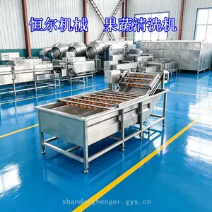 多功能果蔬清洗机根茎类气泡清洗机叶菜类鼓浪喷淋清洗机