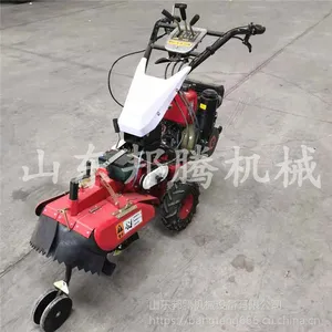 ��������ӱ��������������� ������԰������ �������������ٻ�