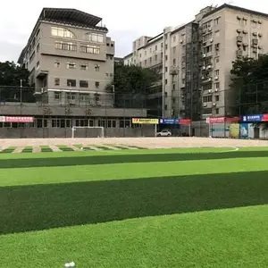广州操场人工草坪哪家好-早晨运动-广州操场人工草坪