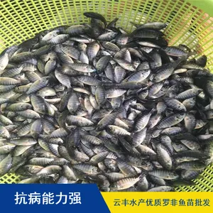����̨�����ʺ����޷����� ˮ���ƹ� �Ʒ��޷������ѧ�滮��ֳ