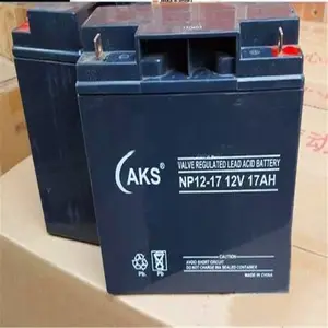 �¿�������NP12-24 12V24AH���۶��ٵ���