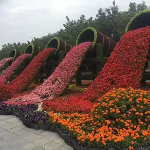 �����人���ڿ��ֵĵ��ܸ�����ɫ������ɫ���޵Ľ������