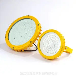 弯杆防爆灯LED50wac220vexIICT6Gb 电厂弯管防爆LED灯 免维护LED防爆灯