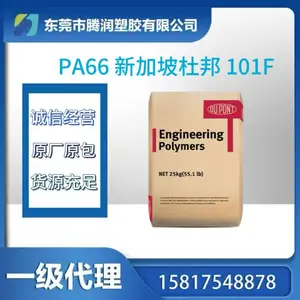 PA66 新加坡 101F 高滑动 耐磨性 高冲击