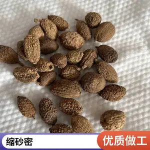 ��ɳ����ҩ ҩʳͬԴ��Ѭ��Ʒ��***������������ֱ��ȫ������
