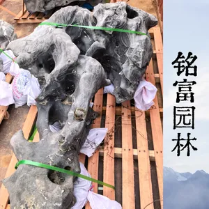 天然多孔太 湖石独石 园林庭院景观孤石，窟窿石造景原石现货