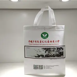 山东彩汇包装制品生产厂家,可定制环保袋 、礼品袋 、广告宣传袋