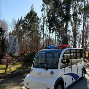 青海省电动观光车主打品牌,老爷车直销厂家