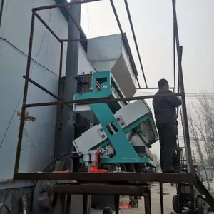 ����̩������ 6sxz-252dc С��ʯӢɰɫѡ�� ʯӢɰɫѡ�� ������ Ч����