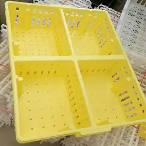 塑料鸡苗箱价格 山东潍坊鸡苗箱 鸡苗运输箱批发