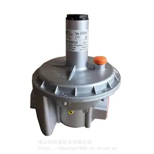 菲奥Fiorentini燃气减压阀FMF系列 FMF301550007AB DN50
