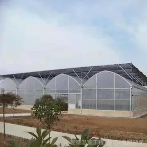 ��̩�������Ҹ��ƹǼܱ�Ĥ���Ǵ�����ư�װYTWSGX1161