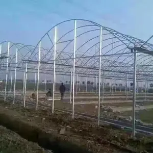 ���ջ�ɽ��������ּ�ʹ��ʮ���� ����������︲�ǳ����޵�Ĥ