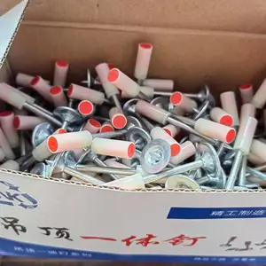 ��Ӧ�ڶ� ����һ�嶤 ������������� ���ɵ��� ���¼�