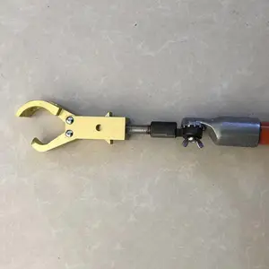 ��ʱ��ͷ������ӥ��ͷ����10KV������ӥ�����߸���ӥͷ��Ե��