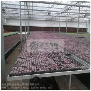 ���������ƶ��紲 �ȶ�п����������������������