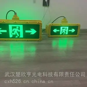 ��Ϊ ˫�����Ӧ��ָʾ�� SYL12-MB2 �����ȼ�ExdIIBT6;����:ѹ����