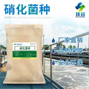 污水处理硝化菌