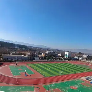 免填充草坪适合哪些类型的运动场地