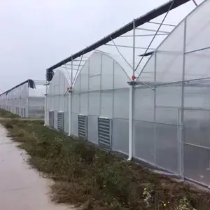 ���Ҵ���������Ʒ�۸�