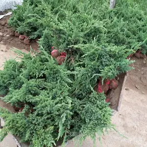 ����԰�� �̻�����30�����̵ذ� ���ذؾ��� �ͺ��ͺ�