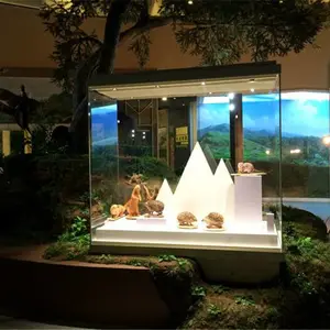 ��ѧУʷ�����ң��ƽ����չ���� �ֽṹ���Ͷ�������