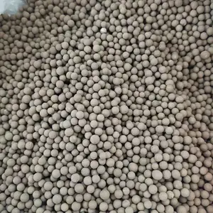 英菲达生物菌剂之菌颗粒 活性菌种 净化水质 全溶水 非全溶