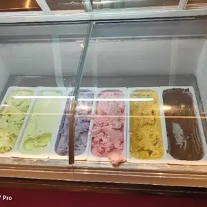 绿科豪华新款冰糖葫芦柜摆摊冰柜